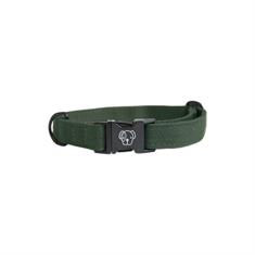 Halsband Kentucky Lizard Groen