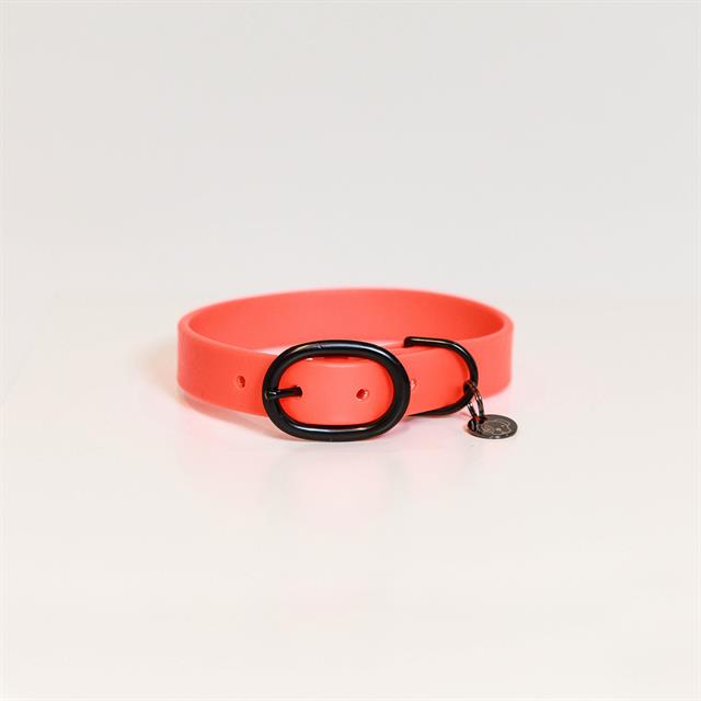 Halsband Kentucky Soft Rubber Oranje