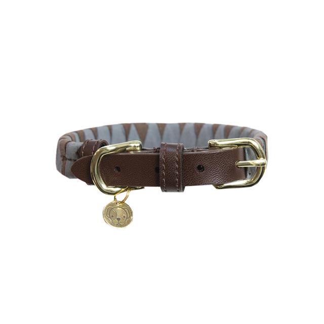 Halsband Kentucky Triangle Bruin