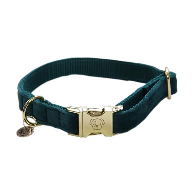 Halsband Kentucky Velvet Hond Donkergroen