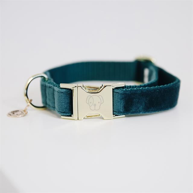 Halsband Kentucky Velvet Hond Donkergroen