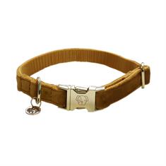 Halsband Kentucky Velvet Hond Oranje