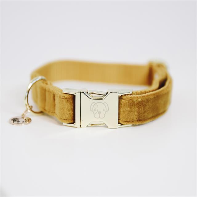 Halsband Kentucky Velvet Hond Oranje