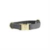 Halsband Kentucky Wool Grijs