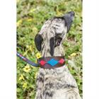 Halsband WeatherBeeta Lurcher Multicolor
