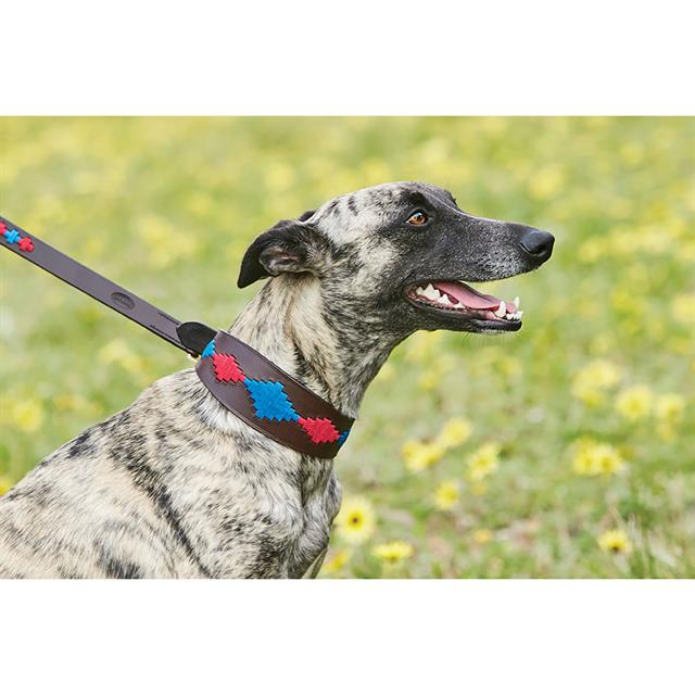 Halsband WeatherBeeta Lurcher Multicolor