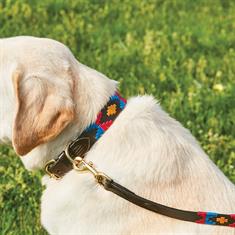 Halsband WeatherBeeta Polo Hond Middenbruin-roze