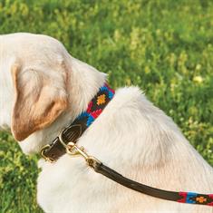 Halsband WeatherBeeta Polo Hond