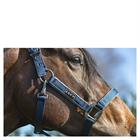 Halster ANKY Grooming Donkerblauw