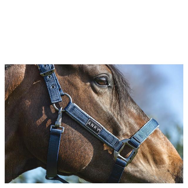 Halster ANKY Grooming Donkerblauw
