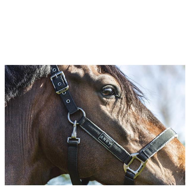 Halster ANKY Grooming Zwart