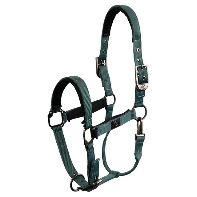 Halster BR CLX Groen