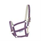 Halster Bucas Dublin SS25 Blauw-roze
