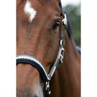 Halster Eskadron Classic Sports Double Pin Groen-donkerblauw