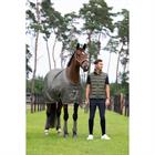 Halster Eskadron Classic Sports Double Pin Groen-donkerblauw