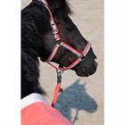 Halster Eskadron Classic Sports Double Pin Roze-blauw