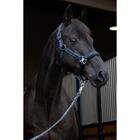 Halster Eskadron Classic Sports Mattgloss Jewel Double Pin Donkerblauw