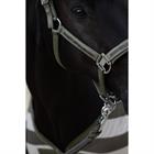 Halster Eskadron Classic Sports Mattgloss Jewel Double Pin Groen