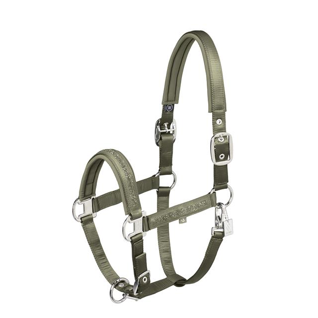 Halster Eskadron Classic Sports Mattgloss Jewel Double Pin Groen