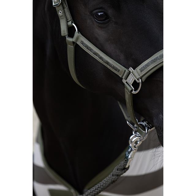 Halster Eskadron Classic Sports Mattgloss Jewel Double Pin Groen