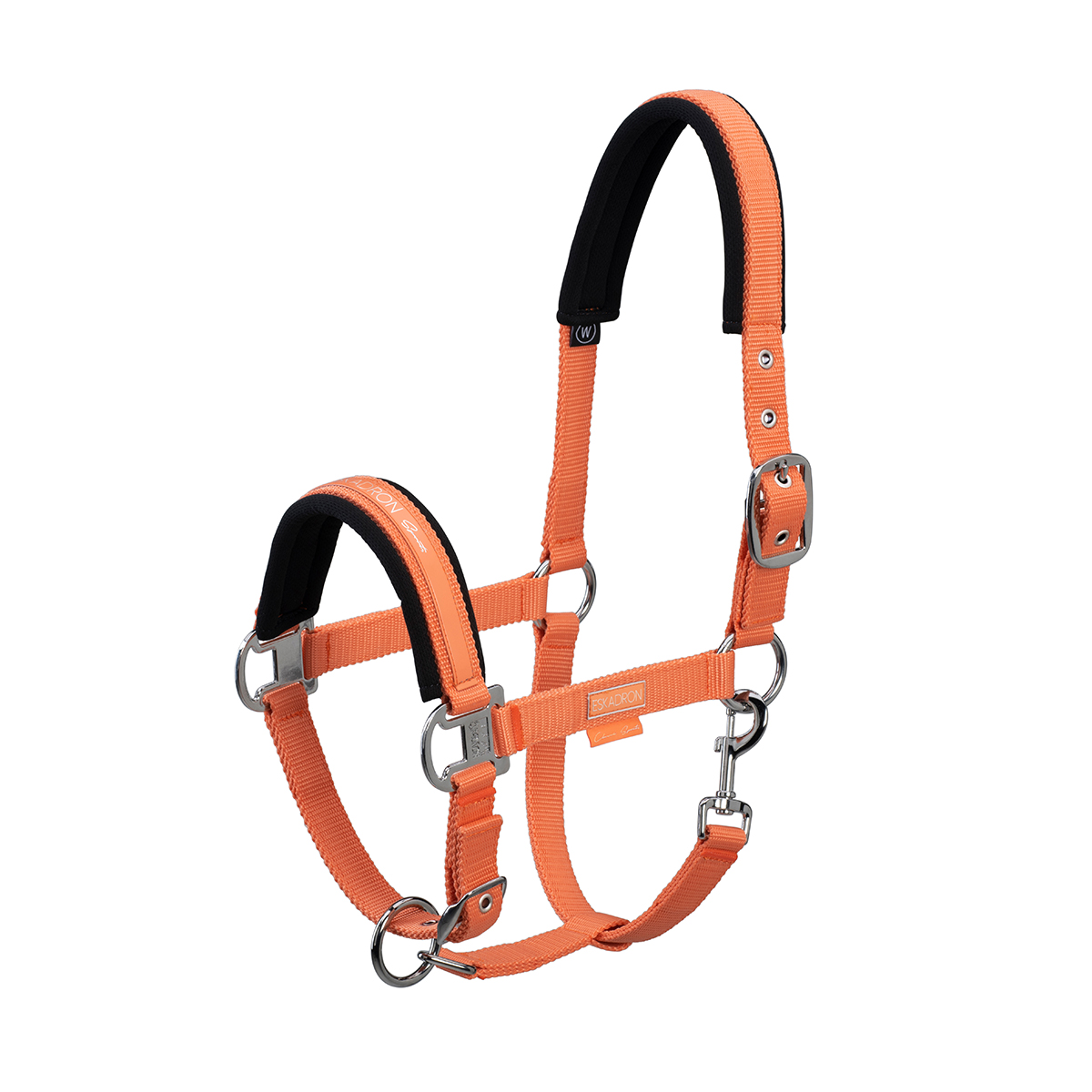Halster Eskadron Classic Sports Pin Buckle Oranje, MIDDEL in oranje
