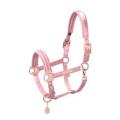Halster Eskadron Heritage Satin Jewel Double Pin Lichtroze