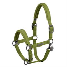 Halster Eskadron Platinum Double Pin Faux Leather Groen