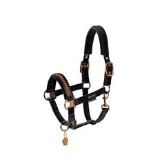 Halster Eskadron Platinum Double Pin Velvet Jewel Zwart