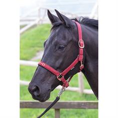 Halster Harry's Horse Bit Donkerrood