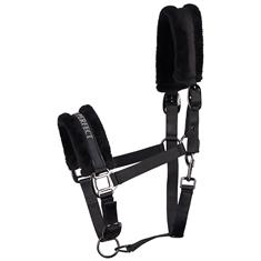 Halster Harry's Horse Lyrics Black Zwart