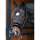 Halster Harry's Horse Lyrics Quotes Donkerblauw