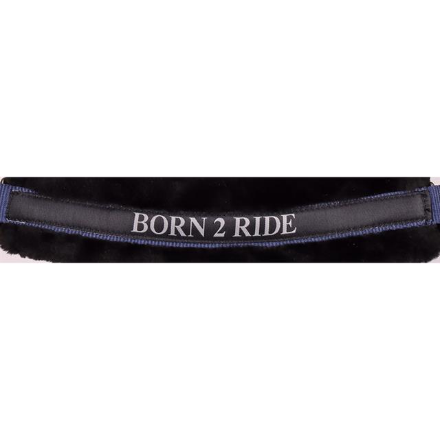 Halster Harry's Horse Lyrics Quotes Donkerblauw