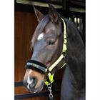 Halster Harry's Horse Lyrics Quotes Lichtgroen