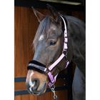 Halster Harry's Horse Lyrics Quotes Paars