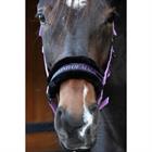 Halster Harry's Horse Lyrics Quotes Paars
