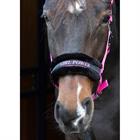 Halster Harry's Horse Lyrics Quotes Roze
