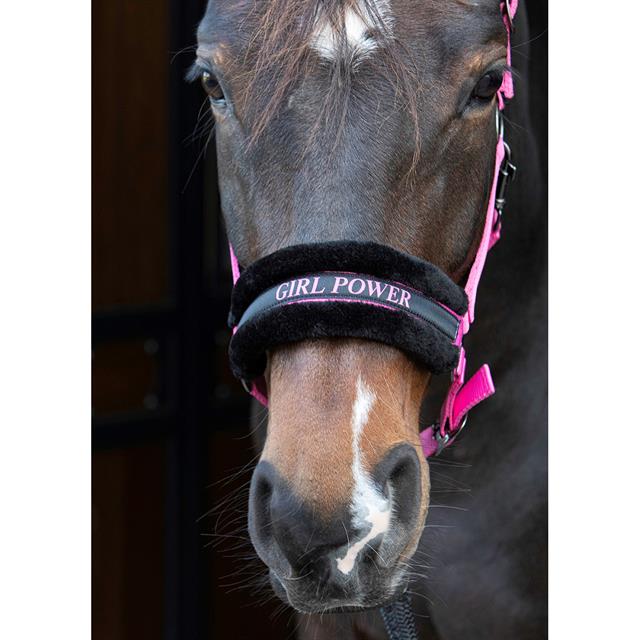 Halster Harry's Horse Lyrics Quotes Roze