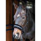 Halster Harry's Horse Lyrics Quotes Zwart