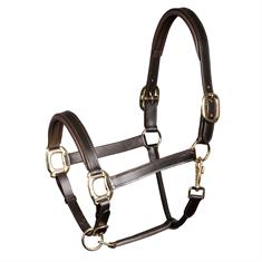 Halster Harry's Horse Padded Leer Bruin