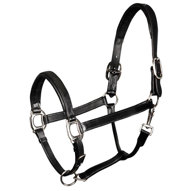 Halster Harry's Horse Padded Leer Zwart