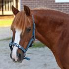 Halster HORSEGEAR HGVelvet Dapple Darkturquoise