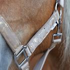 Halster HORSEGEAR HGVelvet Dapple Lichtbruin