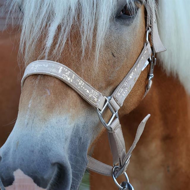 Halster HORSEGEAR HGVelvet Dapple Lichtbruin