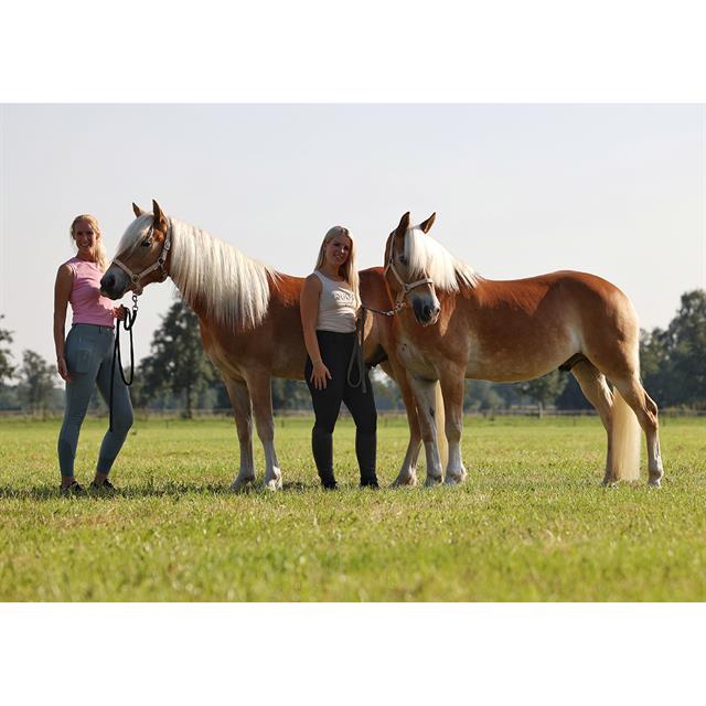 Halster HORSEGEAR HGVelvet Dapple Lichtbruin