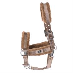 Halster HORSEGEAR HGVelvet Goud