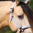 Halster Imperial Riding IRHSparkle Gebroken wit