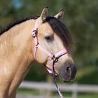 Halster Imperial Riding IRHSparkle Roze