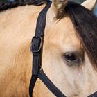 Halster Imperial Riding IRHSparkle Zwart