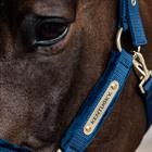 Halster Kentucky Velvet Donkerblauw