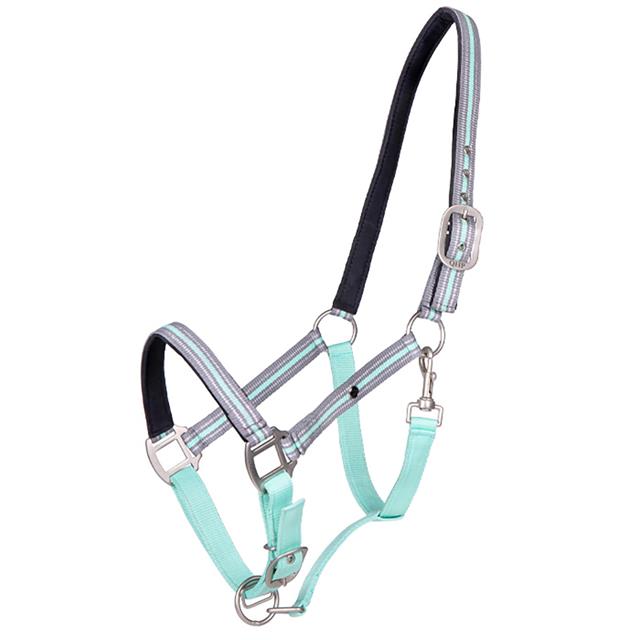 Halster QHP Flore Turquoise